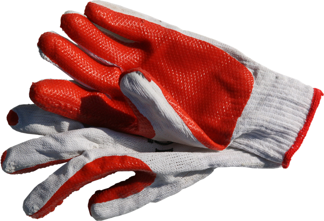 crayfish-rubber-glove